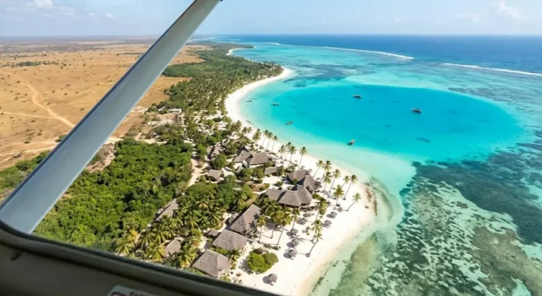 View from a plane window showing Tanzania mainland to the turquoise Zanzibar coast transition.