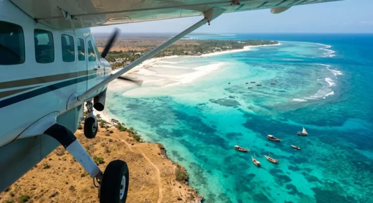 Plane window view of the transition from golden mainland to the turquoise Zanzibar coast.