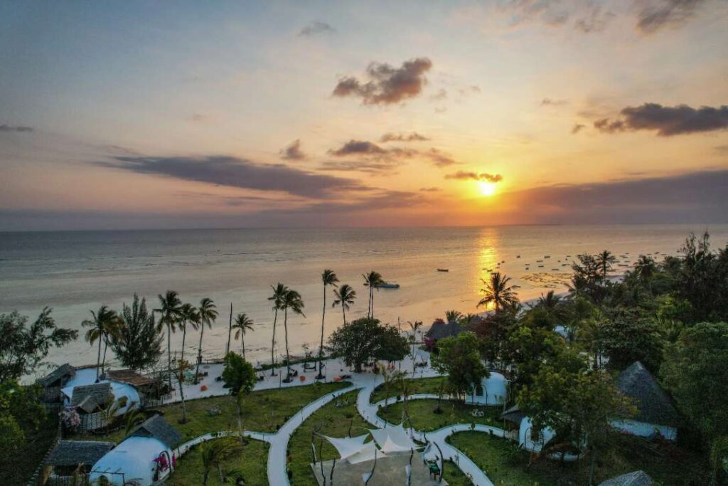 Aerial sunset view of Kizimkazi Beach with palm trees and ocean waters in Tanzania