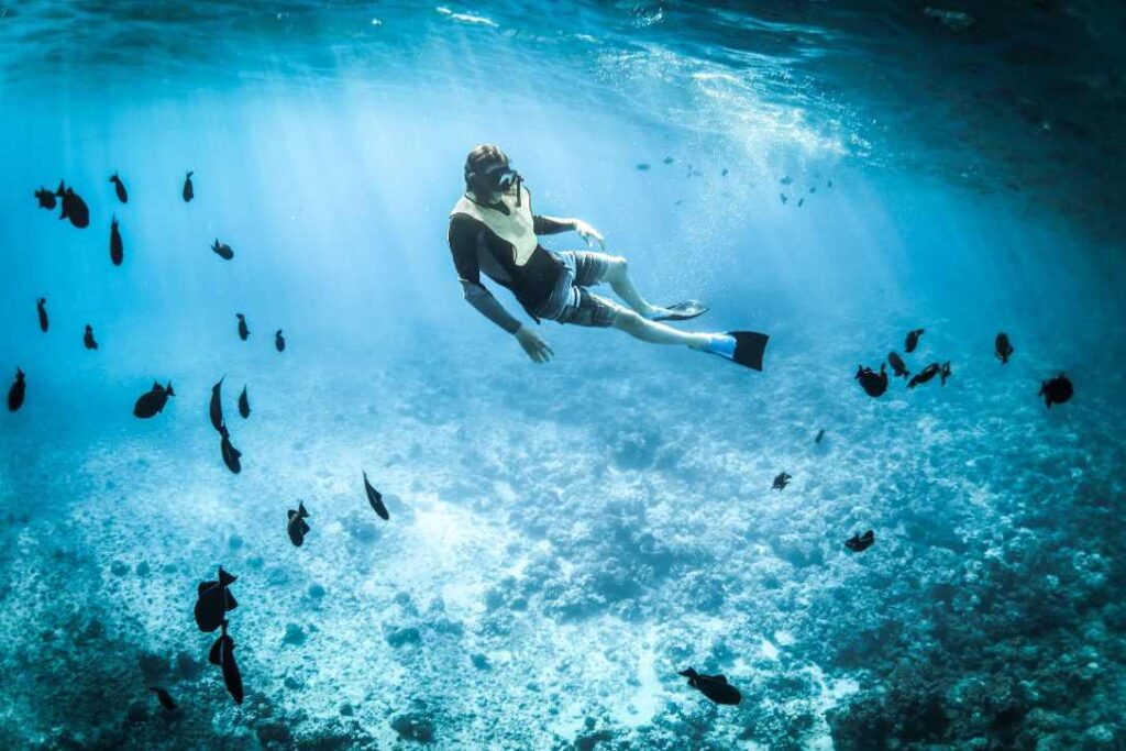 Person snorkeling underwater in clear turquoise sea surrounded by tropical fish