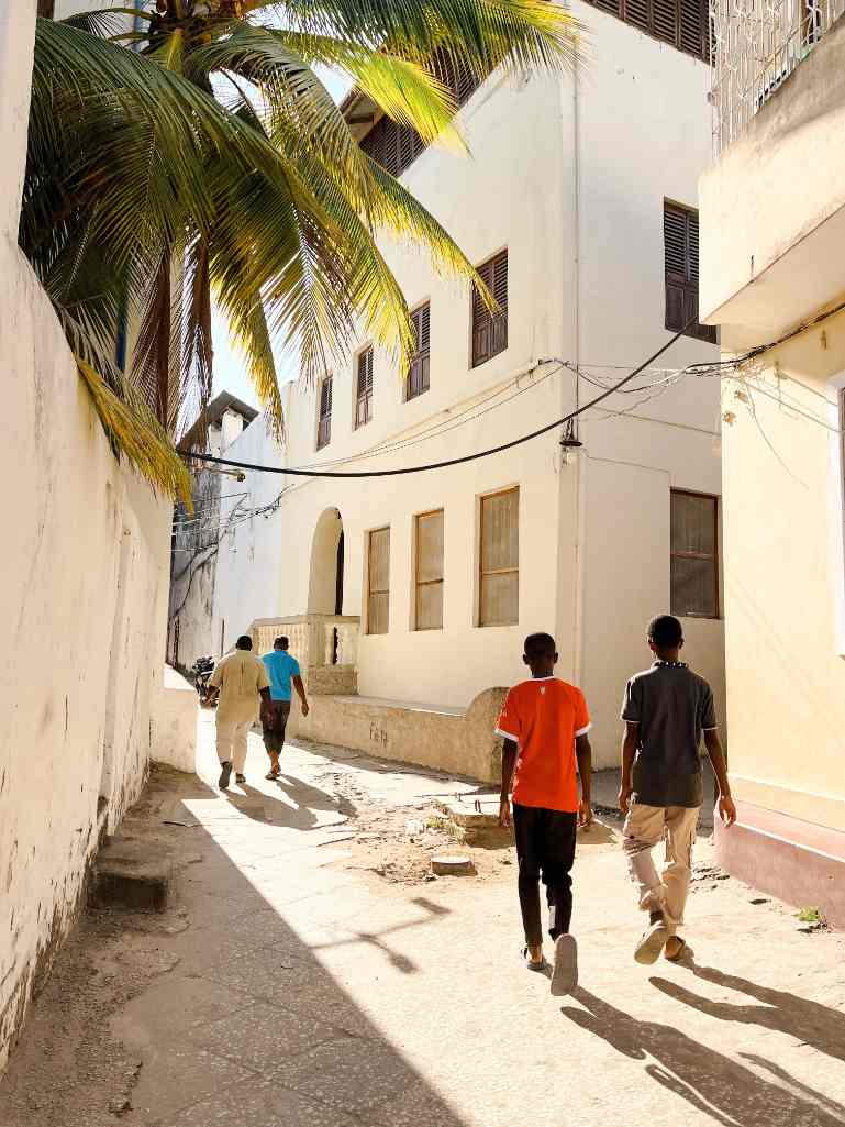 People walking down a sunny street lined with white buildings and palms in Stone Town