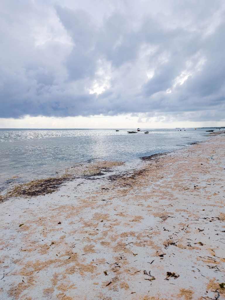 Quiet white sand beach in Bwejuu, Tanzania with cloudy skies and serene waters